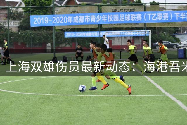 上海双雄伤员最新动态：海港吾米提江缺席，申花两大将积极康复