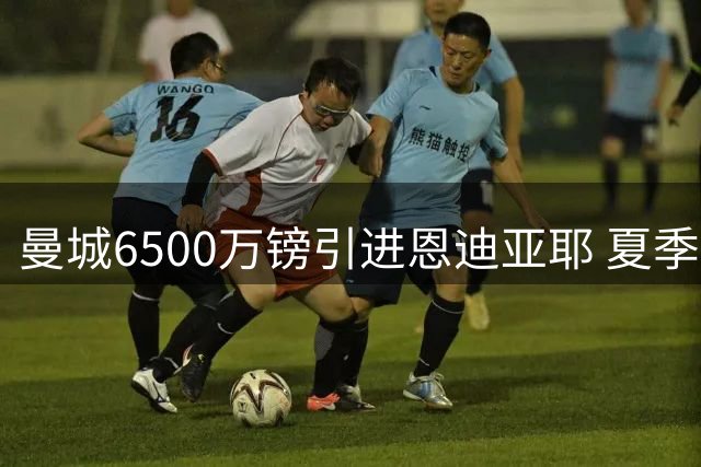 曼城6500万镑引进恩迪亚耶 夏季转会市场再添重磅