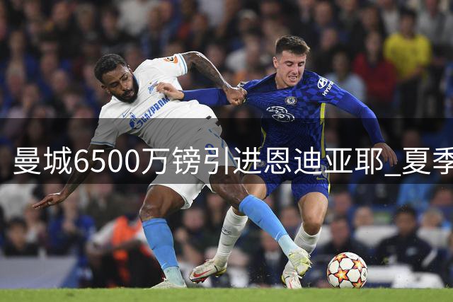 曼城6500万镑引进恩迪亚耶 夏季转会市场再添重磅