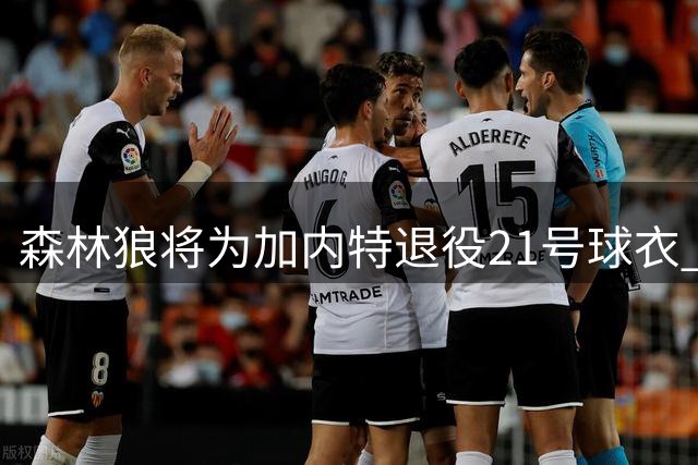 森林狼将为加内特退役21号球衣 表彰传奇巨星贡献
