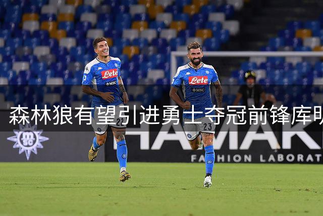 森林狼有望引进勇士夺冠前锋库明加
