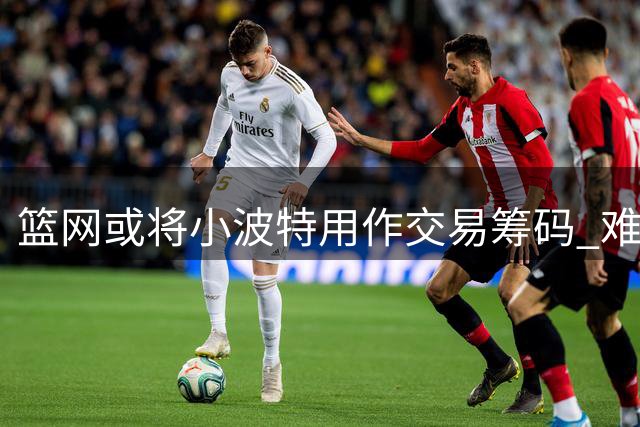 篮网或将小波特用作交易筹码 难成未来核心