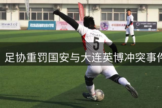 足协重罚国安与大连英博冲突事件 涉事人员遭不同程度禁赛罚款